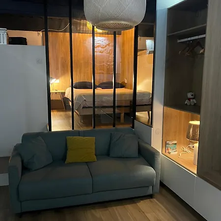 Appartement Le Bucolique - Cœur Vieille-ville D'annecy Annecy